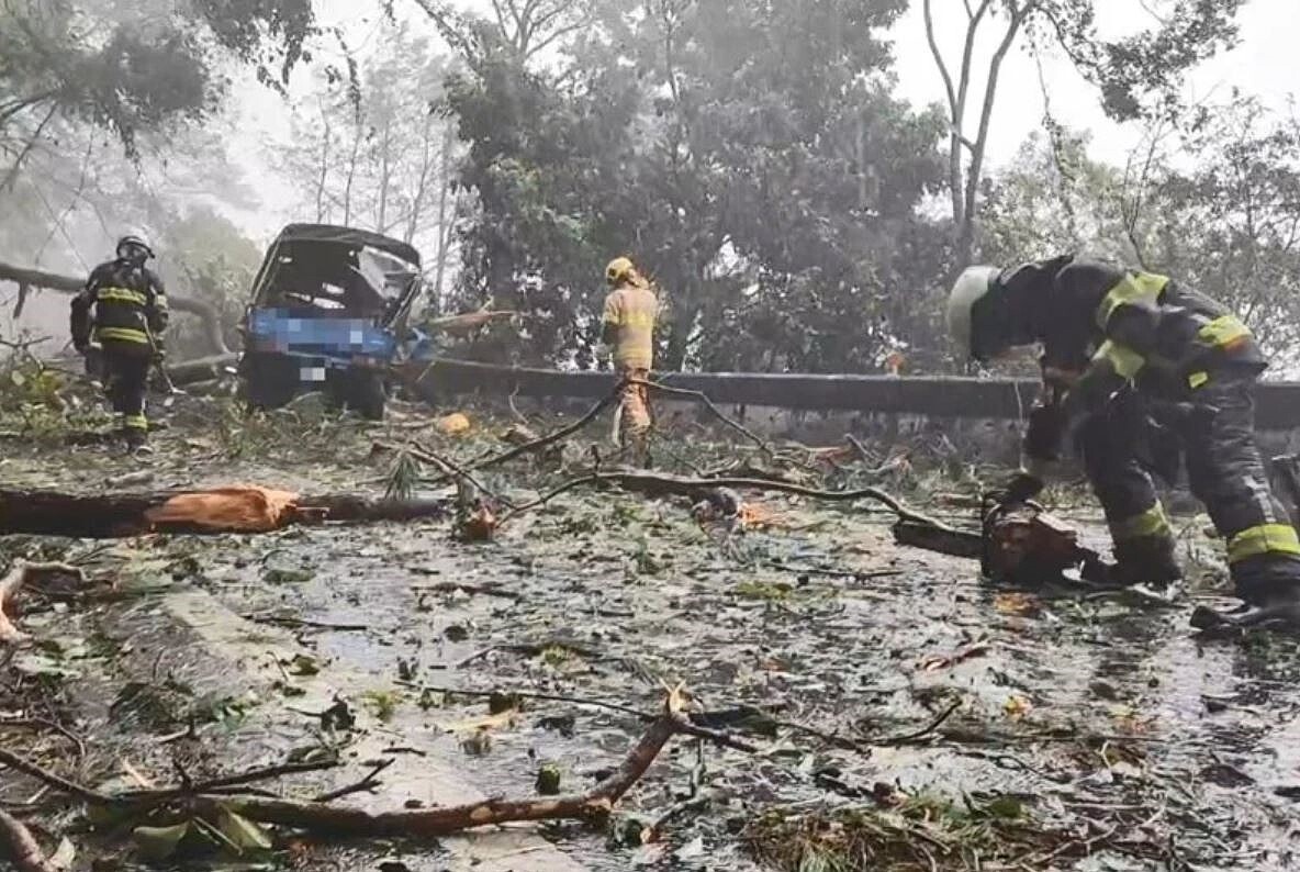 南投仁愛台14甲線約0.3K處樹木突倒塌直接砸中一輛小貨車，警消將人救出，駕駛輕傷，女乘客OHCA，已送醫搶救。圖／民眾提供
