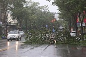 花蓮昨龍捲風吳德榮曝原因　康芮下午脫離陸地、下周一東北季風到