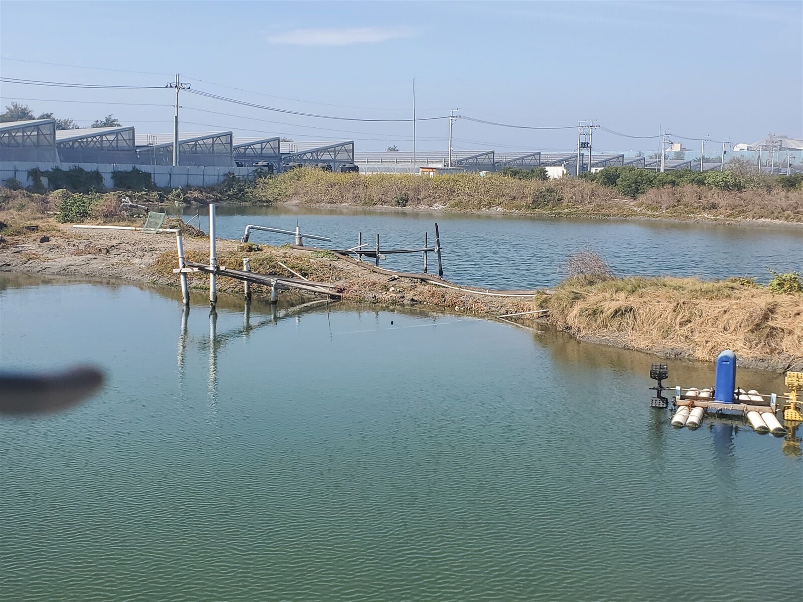 近期颱風造成高雄養殖漁業損失慘重，中央雖推出「養殖漁業天然災害保險」，高市目前僅6戶投保。記者王勇超／攝影 