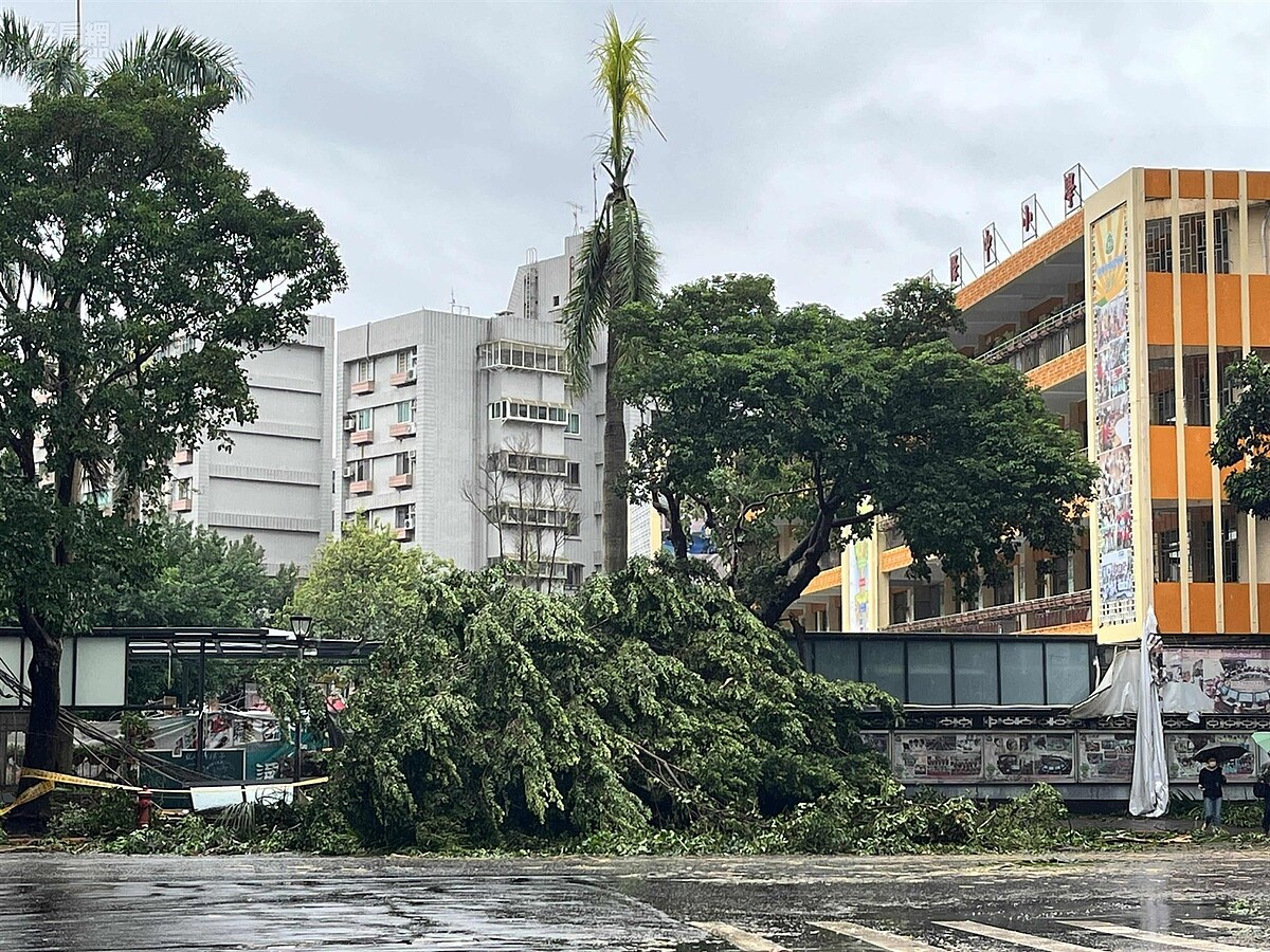 根據官方統計,北市已接獲3370件災情,其中樹木傾倒高達1972件,民生基礎建設414件,建物毀損則有355件。圖/好房網News記者黃暐迪攝影