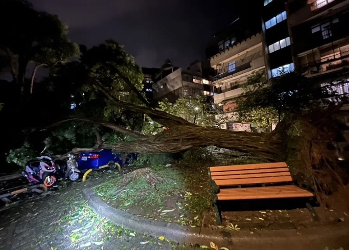 羅姓男子31日晚近8時騎乘機車行經台北市內湖區文德路一處公園旁，突遭路旁電桿倒塌砸中，送醫不治。記者李隆揆／翻攝
