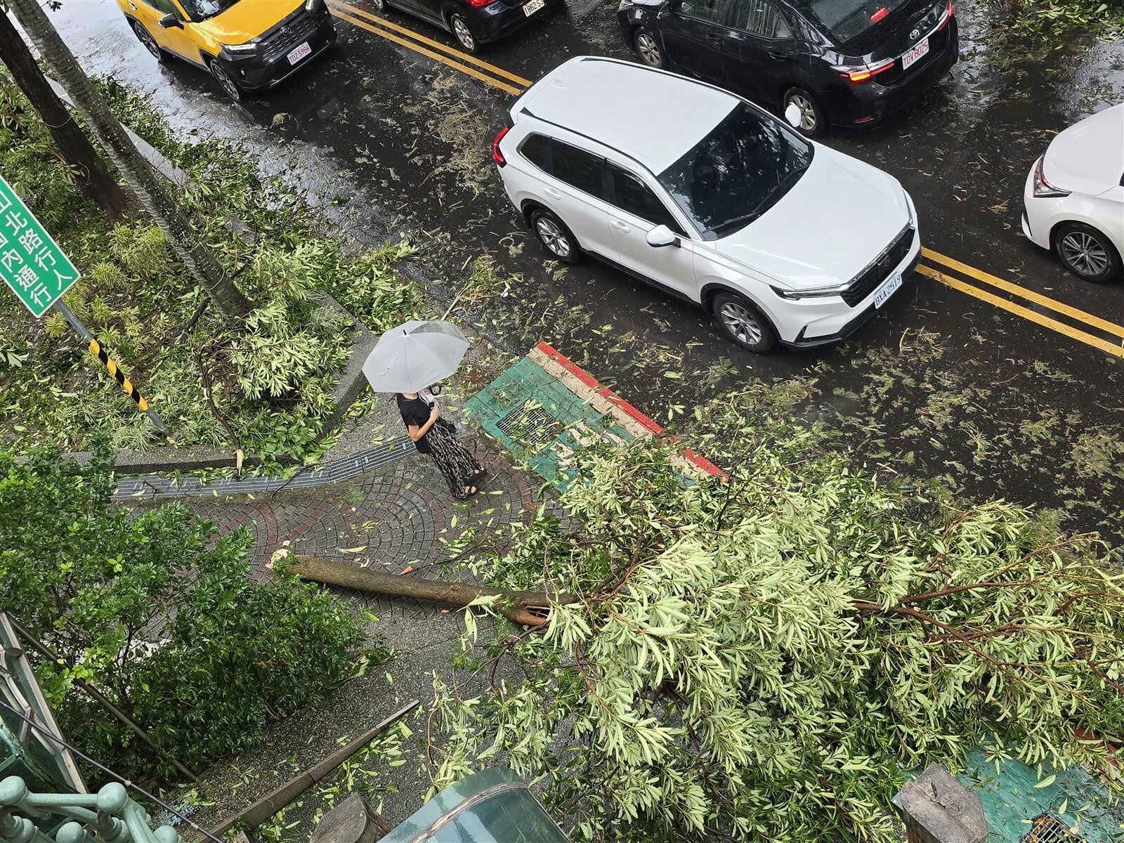 康芮颱風侵襲期間挾劇烈風雨,台北市多處路樹傾倒。記者邱德祥/攝影
