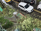 康芮遠離　氣象署已解除陸警、下午2時30分解除海警