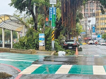 
強烈颱風康芮襲台，基隆市各區都有路樹倒塌、鐵皮吹落情形，有路樹被吹斷差點砸到停靠車輛。（徐佑昇攝）
