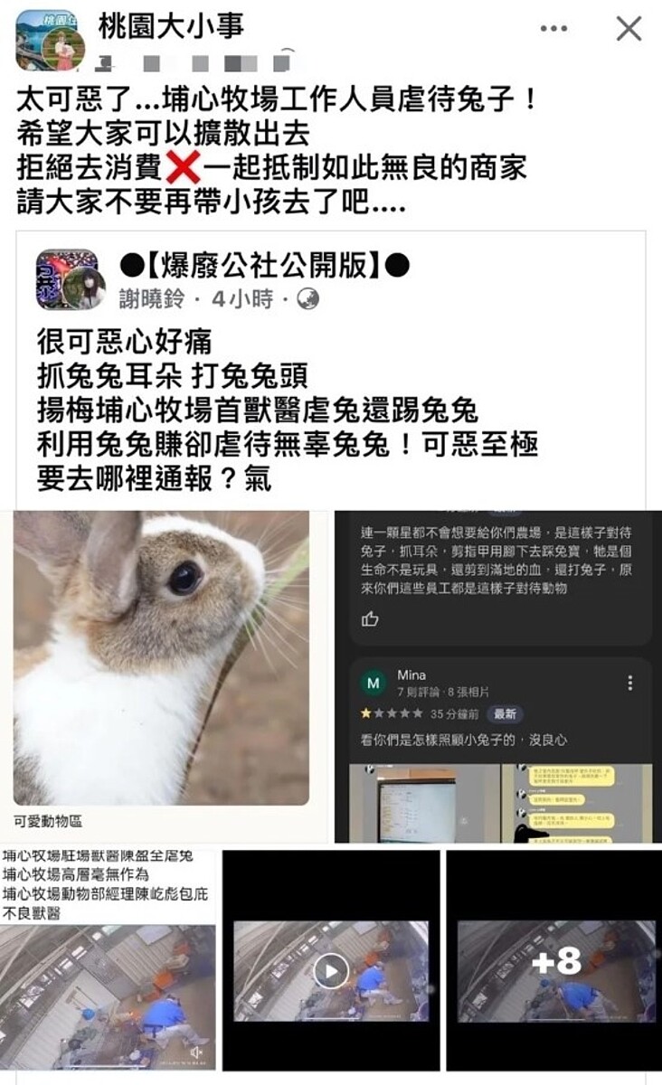 有民眾於網路上上傳桃園市楊梅區埔心牧場內一段影片,只見1名獸醫師要替兔子剪指甲時,不僅動作粗魯,更有踩及打的動作出現,讓人看了相當不忍。圖/翻攝自桃園大小事