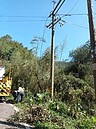 桃園復興路斷樹倒停電嚴重　台電全力搶修剩1006戶停電