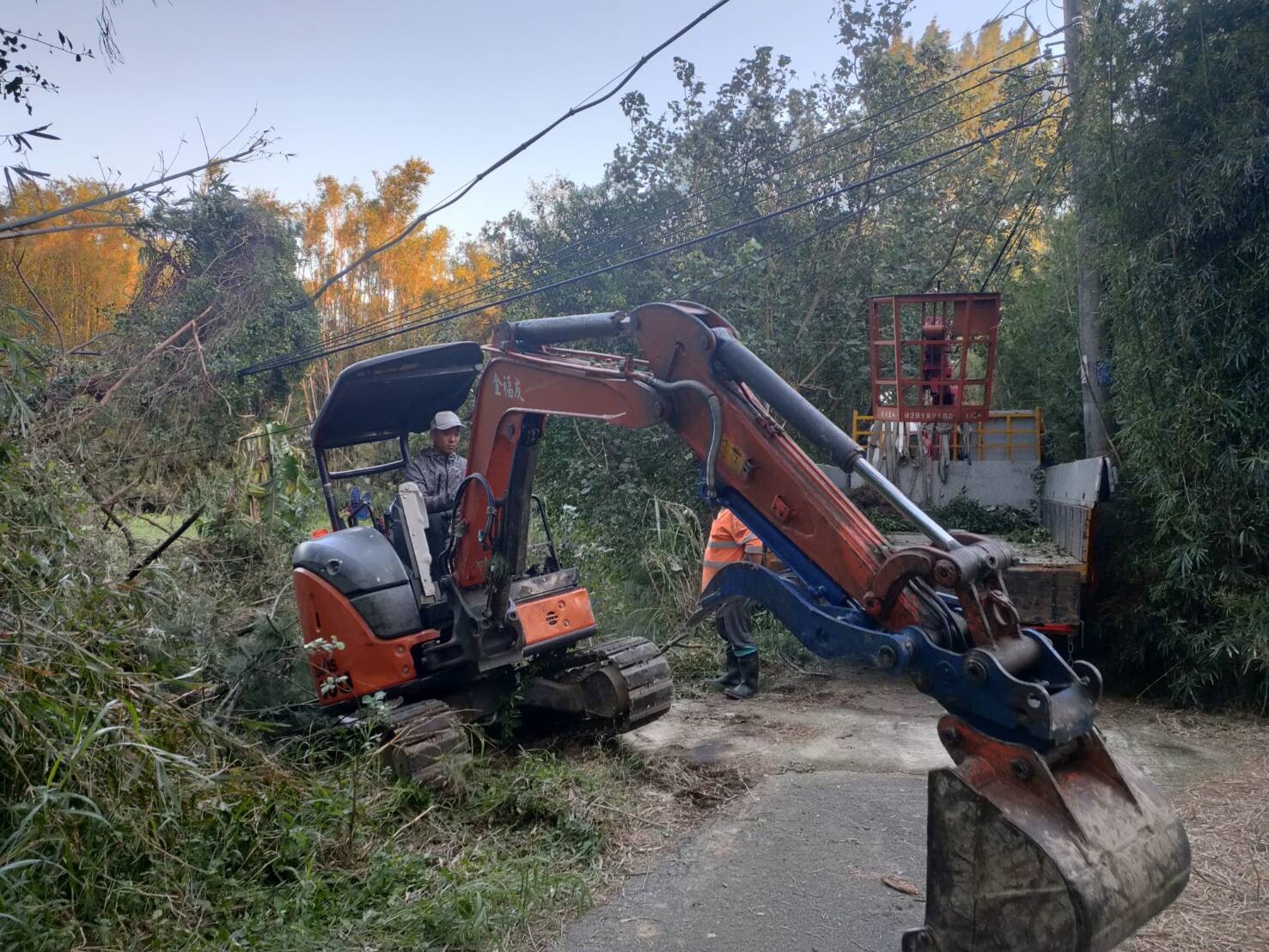 平鎮區鎮興里黃里長於台電在平鎮區新光路四段296號周邊搶修時，協助樹修，支援怪手。圖：台電提供