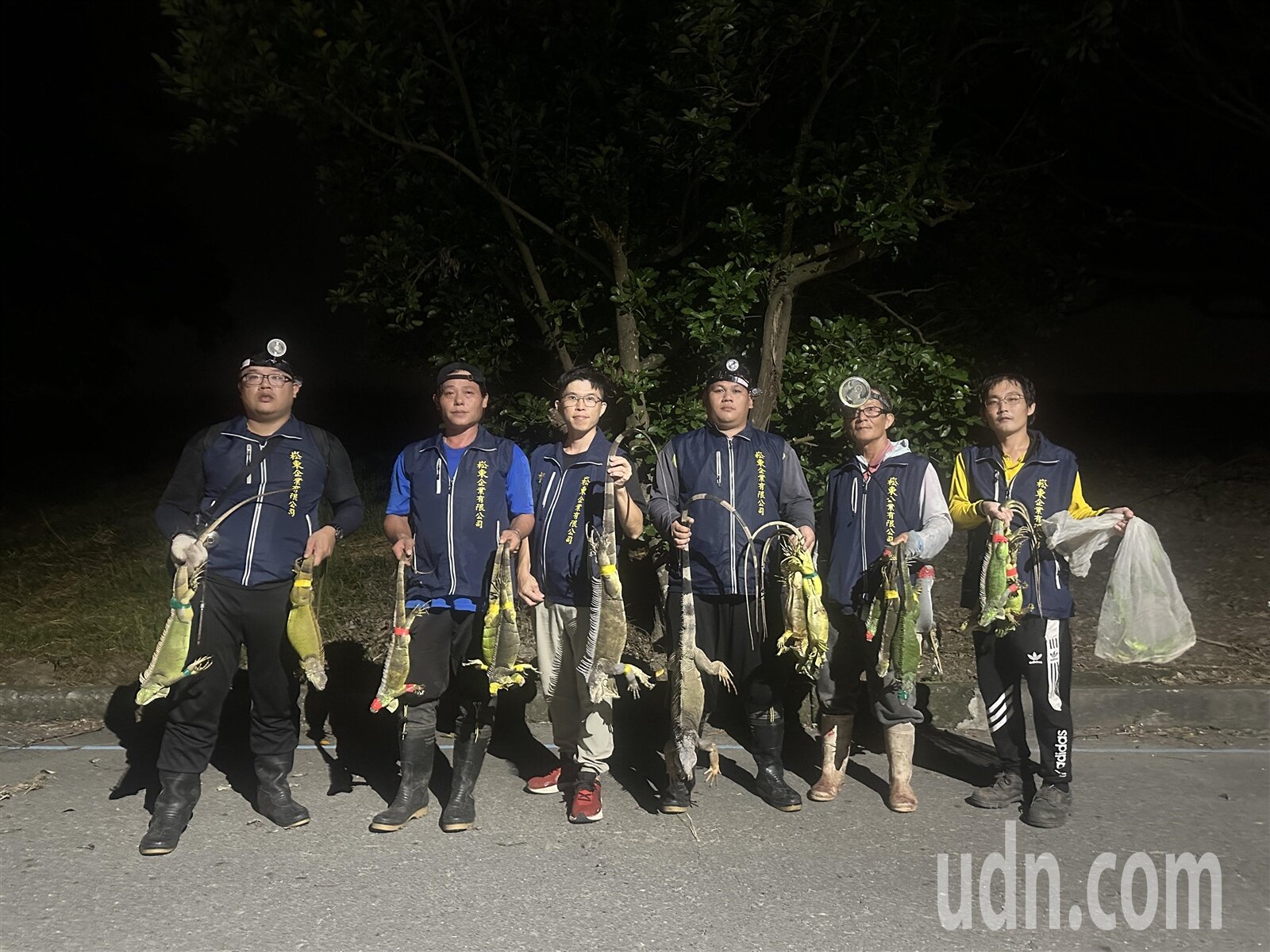 屏東縣政府農業處從10月起針對萬丹、新園啟動「夜間巡捕守護農民」，委託專業廠商展開獵捕專案。記者劉星君／攝影 