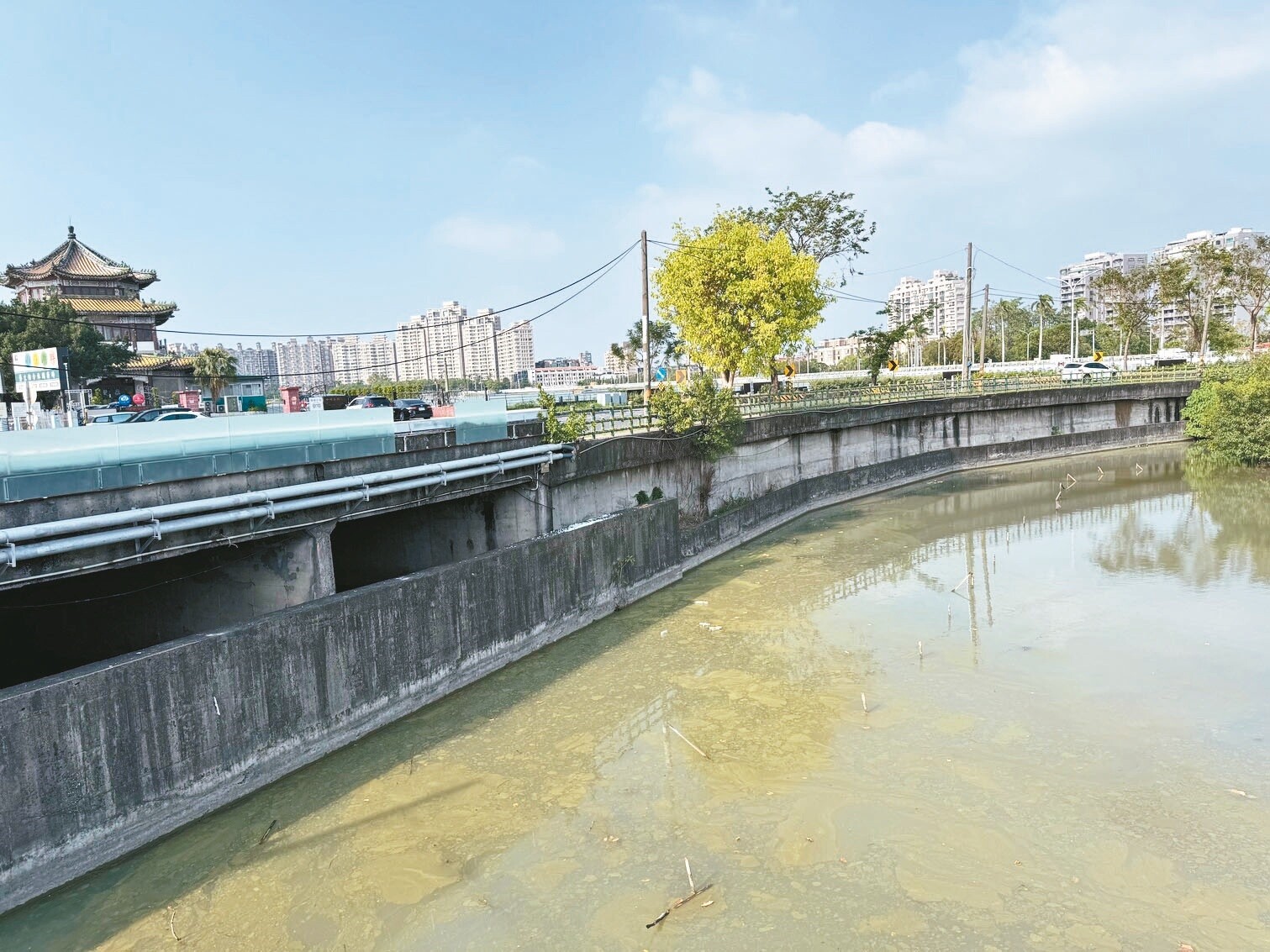 民團質疑高雄澄清湖聯開案將蓋在溢洪口前方的公園用地上，影響滯洪功能，水利局否認此說法。記者郭韋綺／攝影 