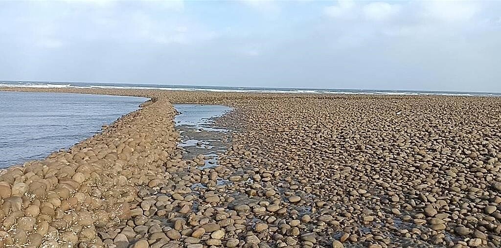 桃園市新屋區蚵間里有9座石滬群已被列為文化景觀,經過山陀兒、康芮颱風肆虐,石滬群仍屹立不搖。圖/桃園石滬協會提供