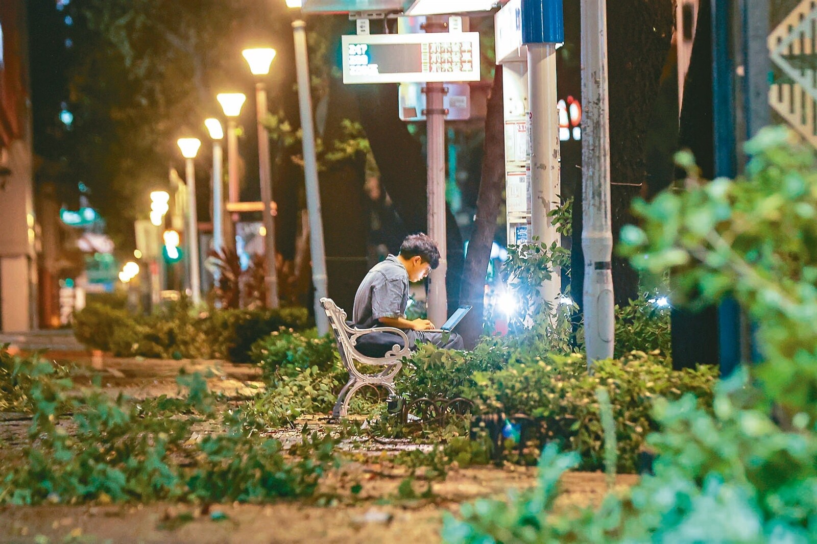 COP29十一日登場，主辦國亞塞拜然將「永續與氣候韌性都市化」列為國家發展優先事項，學者昨提醒我國國土計畫法對都市韌性恐有不足，都市恐受害最深；圖為日前康芮颱風襲台造成北市大量路樹傾倒的災情。本報資料照片 