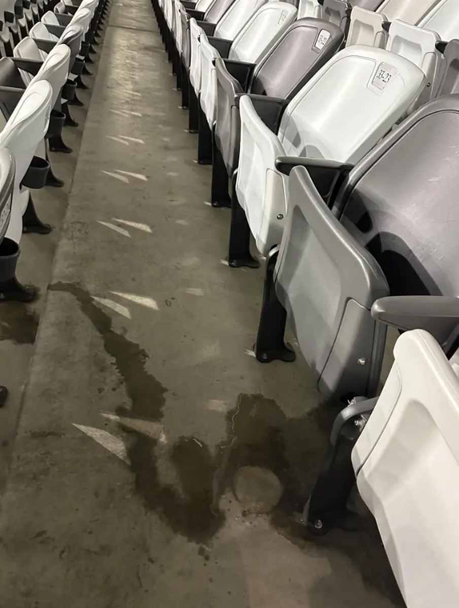 北市議會工務委員會赴台北大巨蛋考察,於外野座位區發現有漏水狀況,在地板形成大面積積水。圖/議員陳怡君提供