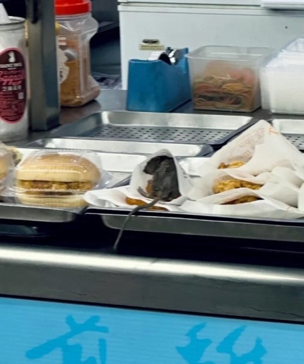 高雄前鎮區知名早餐店被民眾直擊有老鼠光臨。圖/記者郭韋綺翻攝