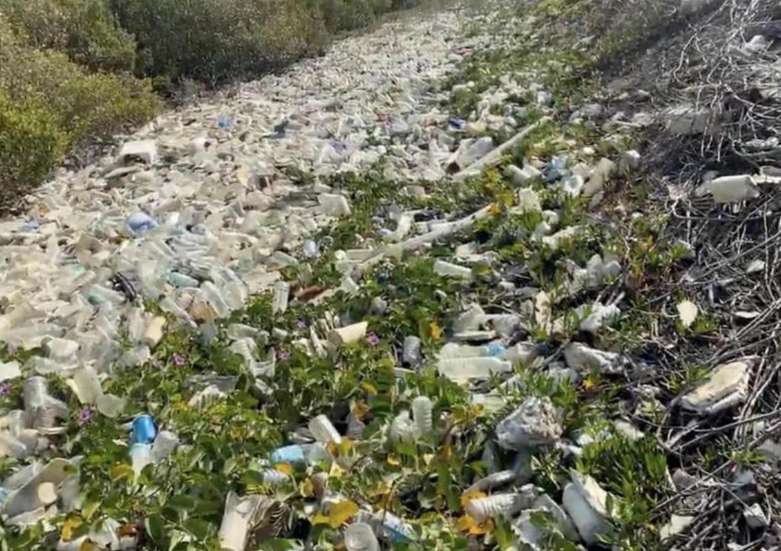 根據富邦人壽與荒野保護協會調查,發現雲林北港溪出海口有大量瓶罐堆砌河岸邊,數量之多,令人怵目驚心。圖/荒野保護協會提供