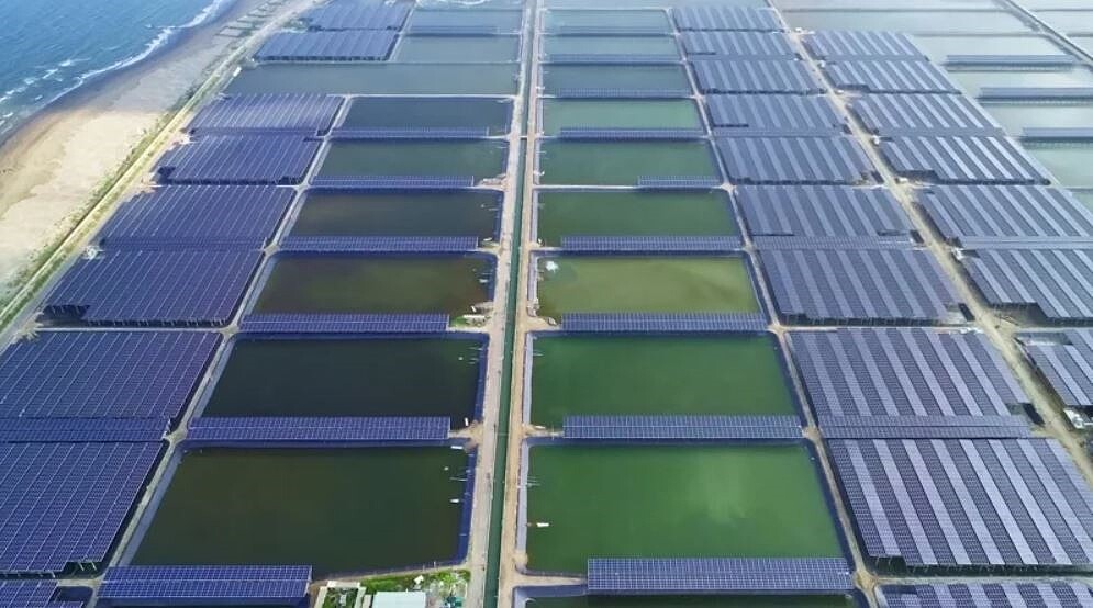 雲豹能源的太陽能案場。圖/雲豹能源提供