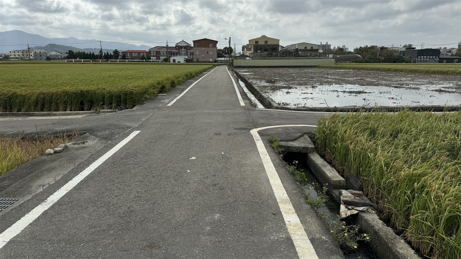 苗栗市嘉盛地區早期農地重劃，農路寬度僅2.5公尺，公所爭取二次農地重劃拓寬。記者范榮達／攝影 