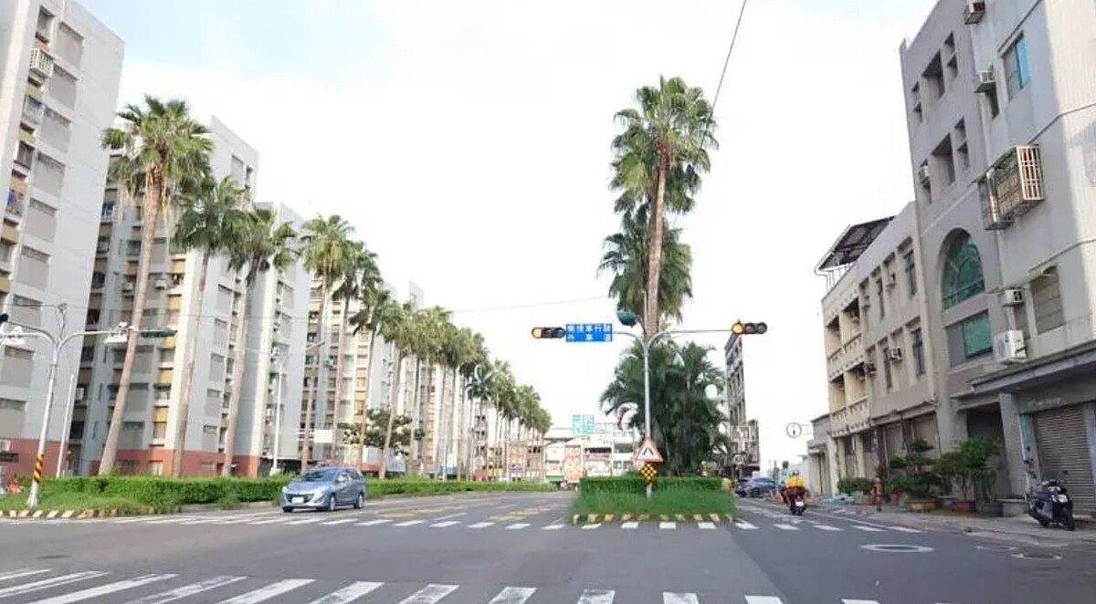 台南市南區大林路「椰林大道」已存在數十年,因將進行道路改善工程,兩側53棵華盛頓椰子樹已很高大,住戶和店家基於安全性主張一併移除,護樹人士主張保留,市府工務局決採「移植」。圖/讀者提供