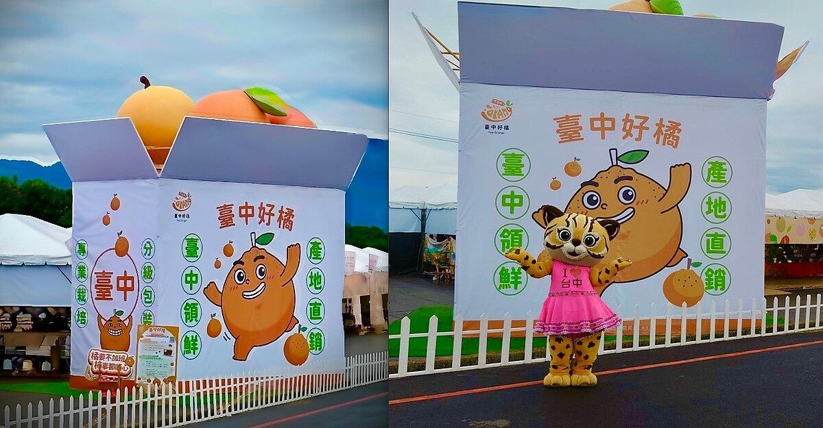 台中市政府農業局特別在花海中設置「台中好橘」大型蔬果箱地景裝置藝術。圖/台中市政府提供