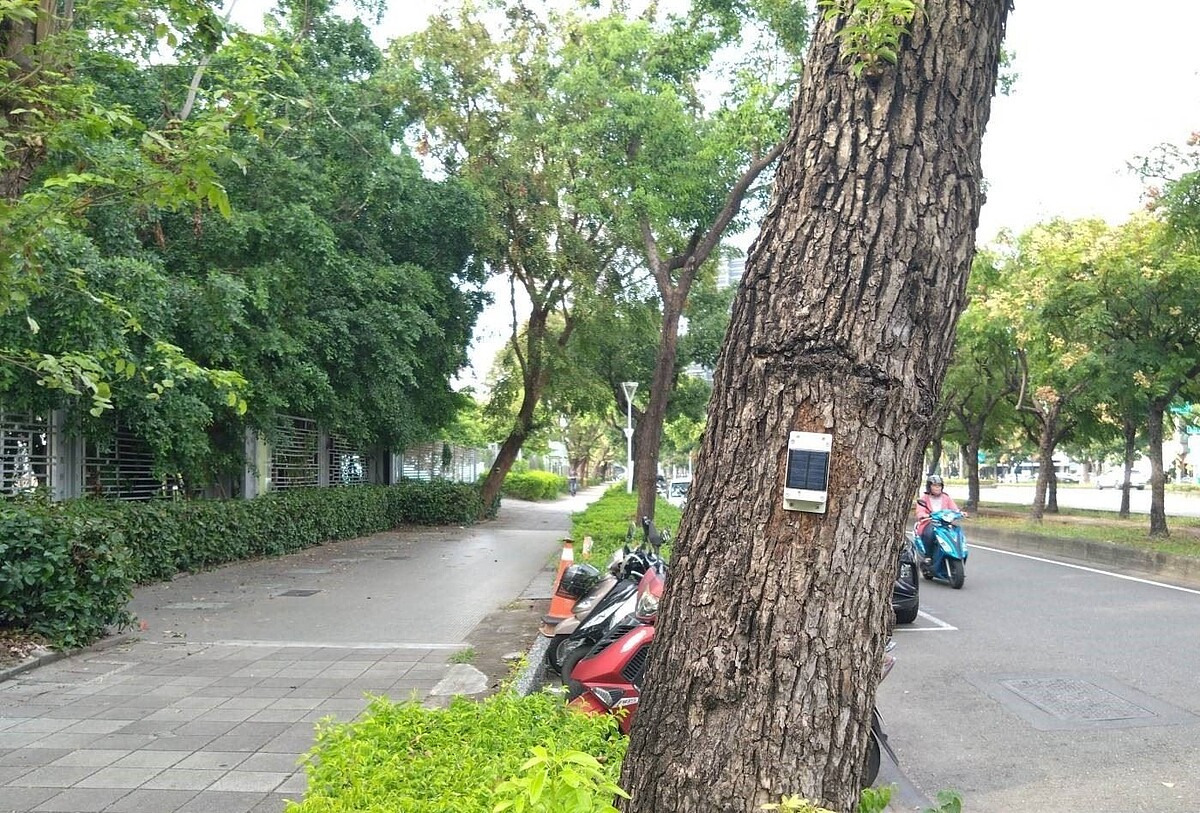 高雄啟用城市樹木傾斜監測系統。圖/高雄市公園處提供