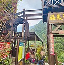 退休師遊阿里山　棧道斷裂1死4傷