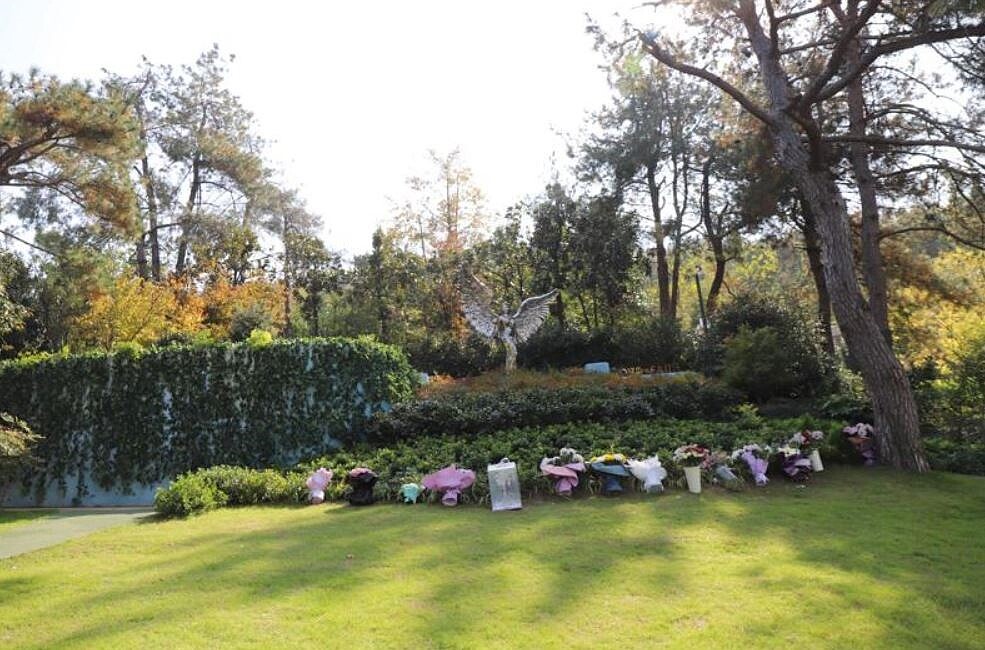 墓園現況。圖/李思林提供