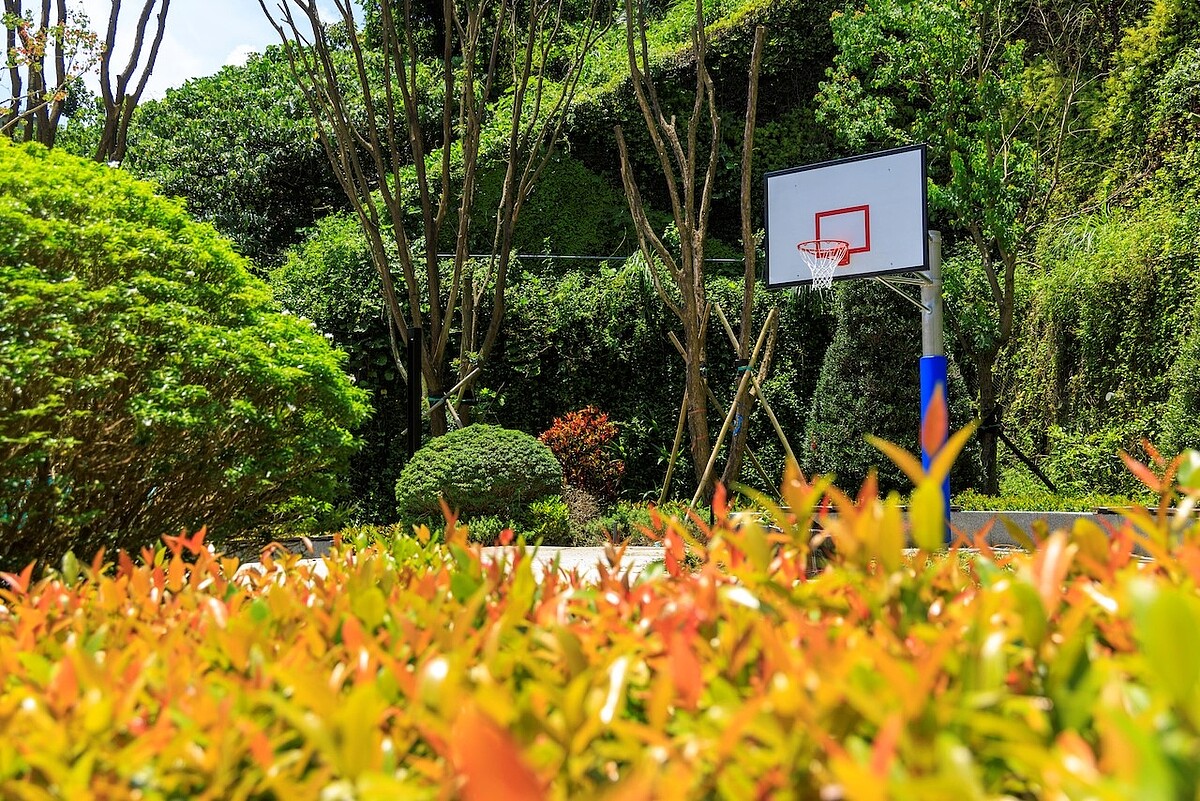 運動休憩區讓住戶在自然環境中,盡情揮灑汗水。實況圖/現場提供