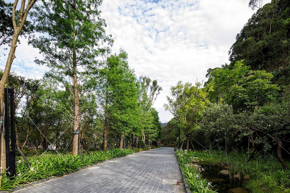 多樣化的植栽景觀,貼近在自然環境中生活。實況圖/現場提供