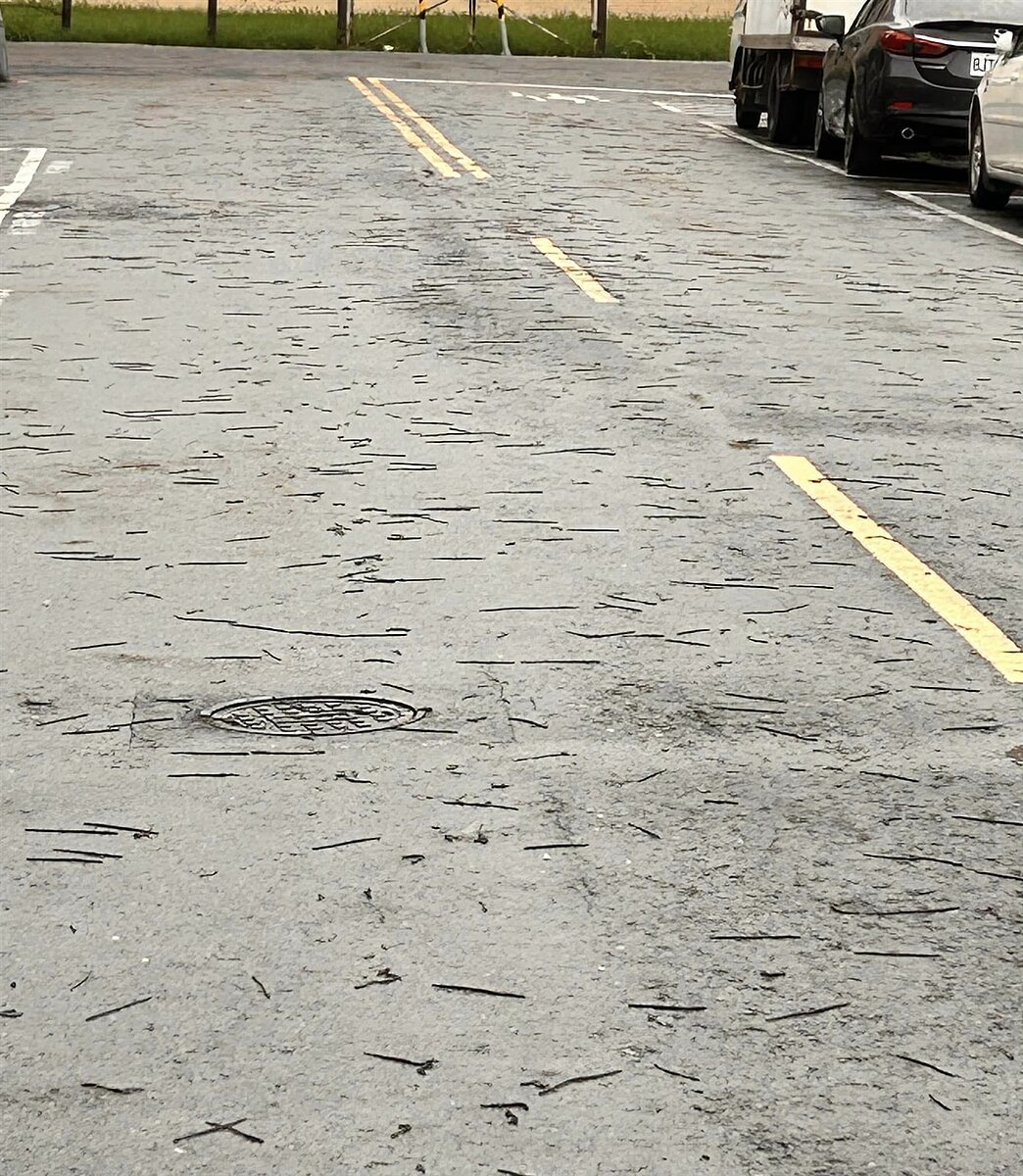 高市前鎮區明鳳二街、五街及一帶16日出現大量蚯蚓在馬路、騎樓到處爬的恐怖景象。圖/取自臉書社團「高雄五甲大小事」