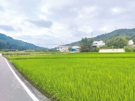 桃園市政府尚未繳國土功能分區圖,都發局表示,已完成「國土計畫專案通盤檢討」草案,預計12月起辦理公開展覽及各行政區說明會,經桃園市國土審議會通過後,將併同國土功能分區圖報請內政部審議。(賴佑維攝)