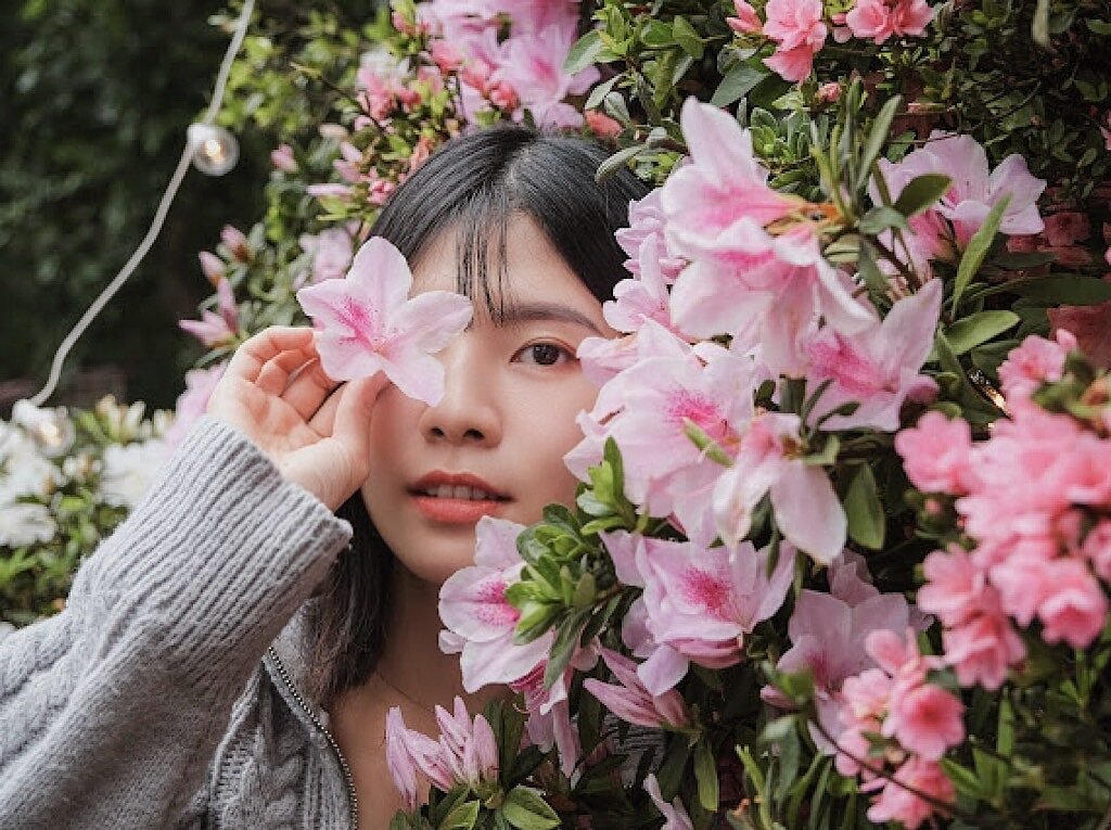 新北市農業局透過春季花展推動萬金杜鵑品牌。圖／農業局提供