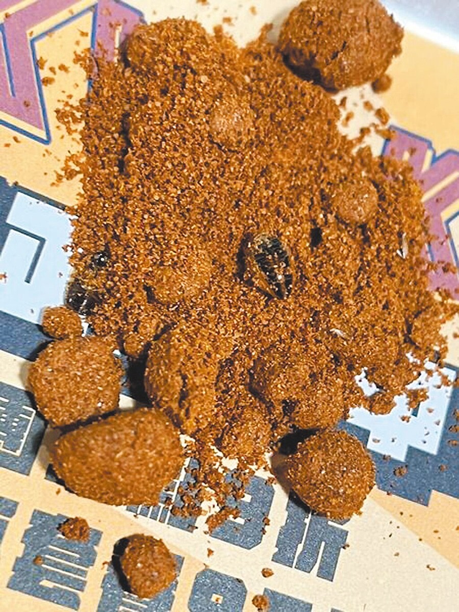 有網友23日在台北市頂呱呱西門町店用餐，不但發現辣椒粉結塊，還有疑似蟑螂的黑色物體。圖／摘自臉書爆料公社
