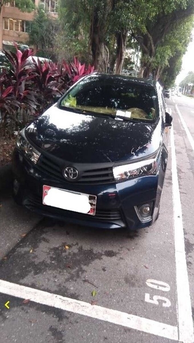 林口區文化一路1段。〈交通局提供〉