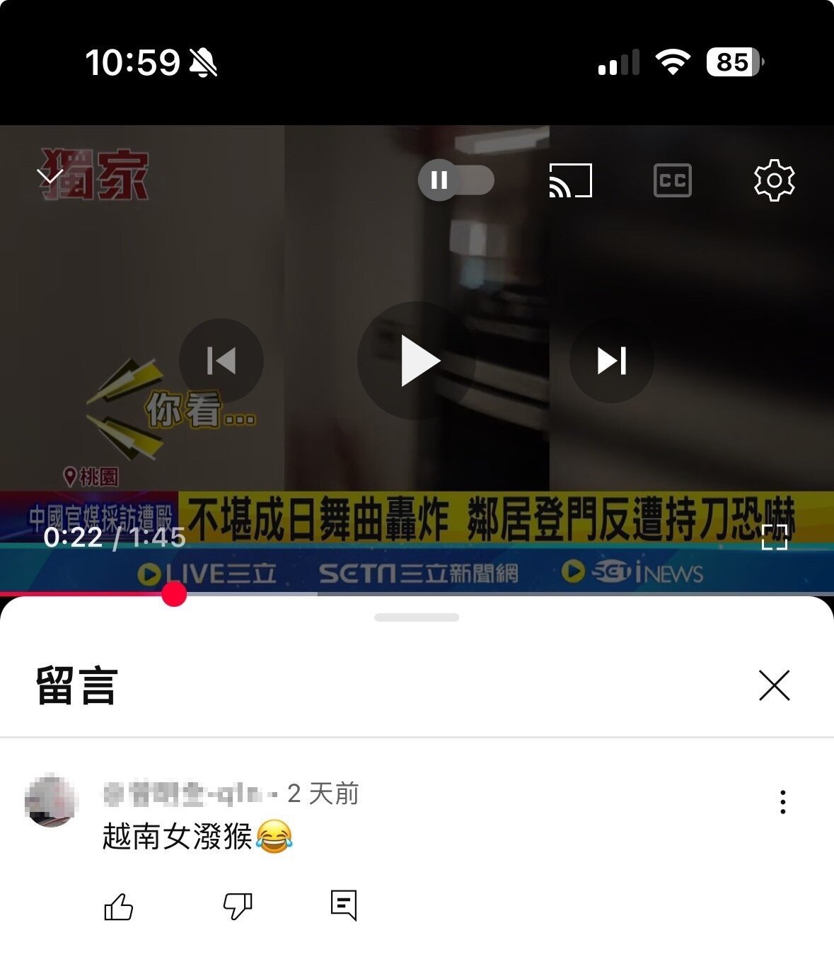 網友直接就在YT的影片下方留言:「越南女潑猴」,讓太太十分難過。圖:廖先生提供