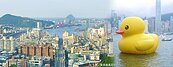 黃色小鴨引風潮　高雄景觀宅紅了