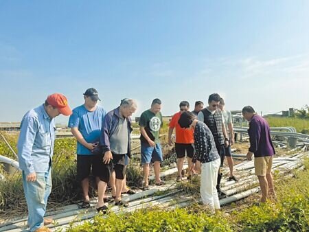 高雄市林園區出現「電線大盜」,專門竊走養殖戶抽水電線,有近30家業者受害,無奈求償無門。(洪靖宜攝)
