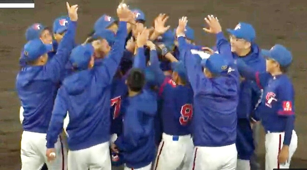 中華少棒擊敗韓國奪冠。截圖自畫面