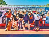 萌犬＋猛男　新北消防形象月曆開賣