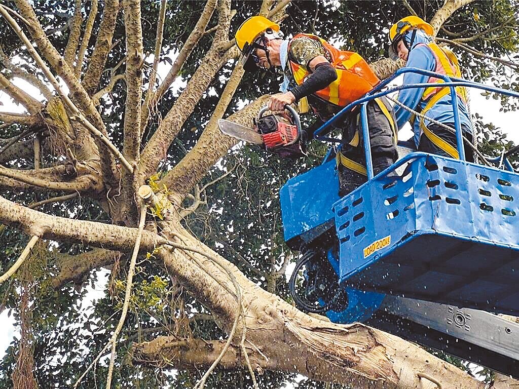 國民黨台北市議員吳世正痛批,市府專業技師員額不補,頻招市內辦公室人員或外包廠商,導致災害搶修找無人。圖為示意圖。圖/台北市公園處提供