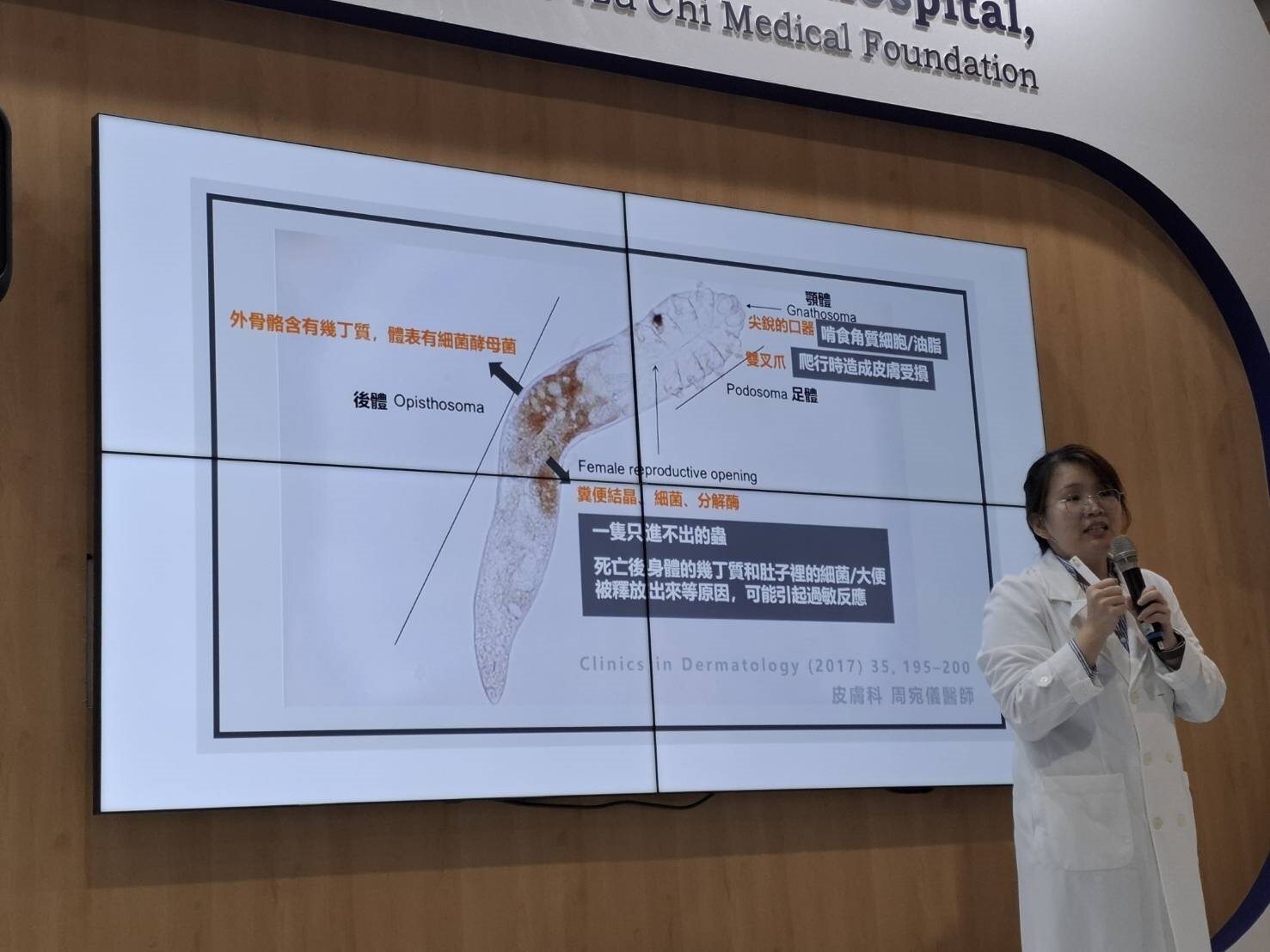 台北慈濟醫院眼科部主治醫師謝繡卉說明蟎蟲結構。記者周佩怡／攝影 