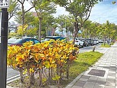 蛋糕公園旁　公有停車格遭霸占　擬改收費