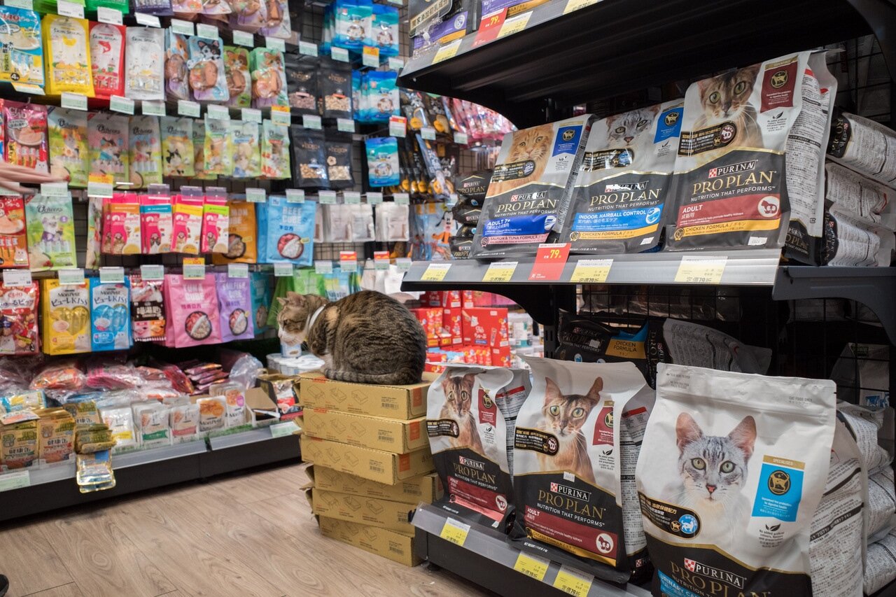 寵物食品示意圖。 聯合報系資料照