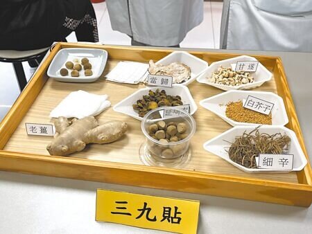 中醫師建議,大雪節氣一定要注意保暖,可透過早睡晚起、食補祛寒、適度使用中藥材等養身法來保養身體。(鄭郁蓁攝)