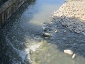 日南里大排水受污染　民代要求環保局善後