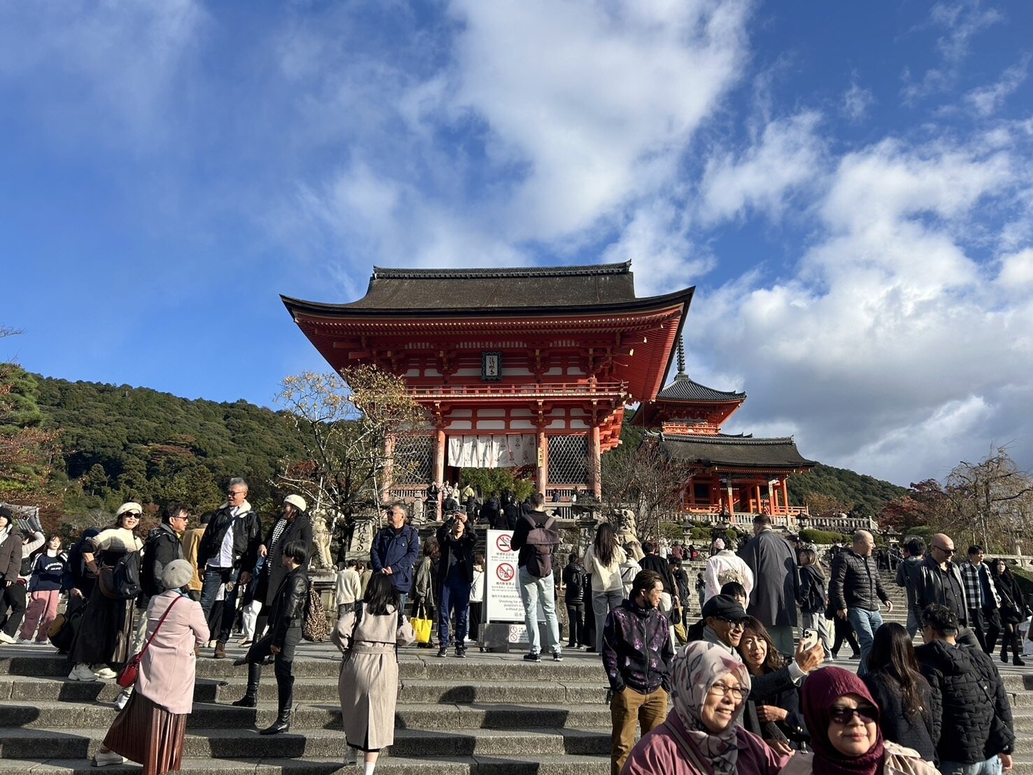 日本近期爆發大規模傳染性紅斑症,又稱為「蘋果病」,患者人數創下25年來新高。衛福部疾管署發言人曾淑慧說,國內目前沒有出現「蘋果病」疫情,民眾不需擔心。日本京都清水寺是熱門觀光景點。本報資料照片