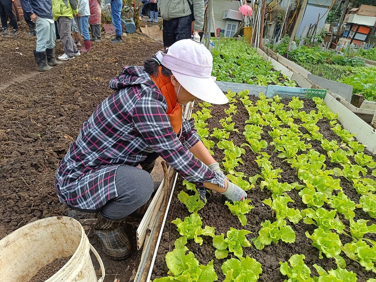 民眾在工作之餘可體會田園樂趣。圖／新北市政府農業局提供