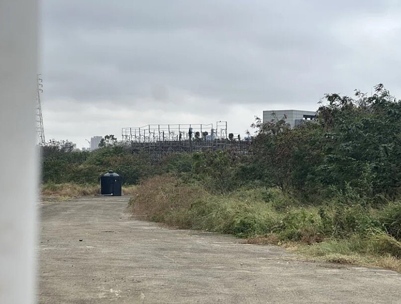 台科大竹北校區新大樓工程施工到一半便遭遇廠商跑路，如今校區大面積長滿樹木雜草，一片荒廢之景。圖／記者巫鴻瑋攝影
