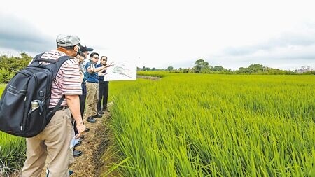 
藍綠對《國土計畫法》上路展延有共識。（本報資料照片）
