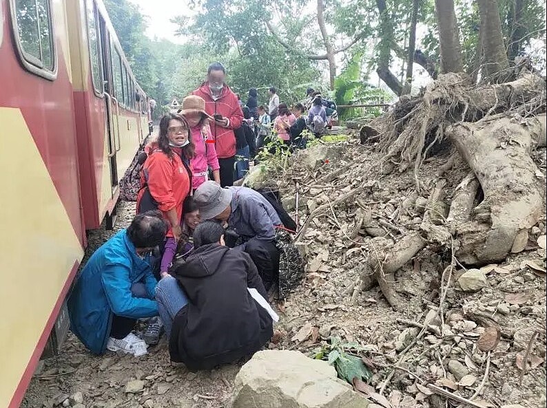 阿里山森林鐵路15日有登山客闖軌道區拍照，閃避不及遭小火車撞倒，左腳骨折送醫。 警方偵訊後將她依公共危險罪嫌函送偵辦。 圖／讀者提供
