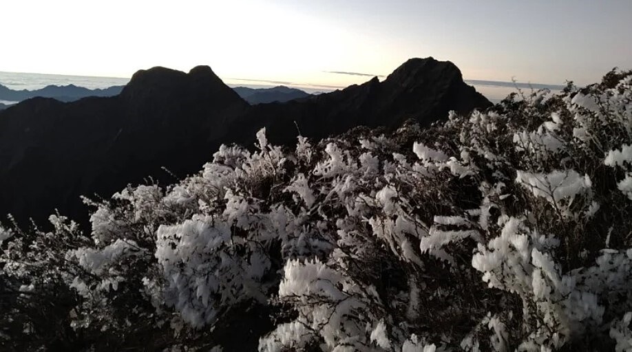 玉山出現霜淞現象。圖／中央氣象署提供
