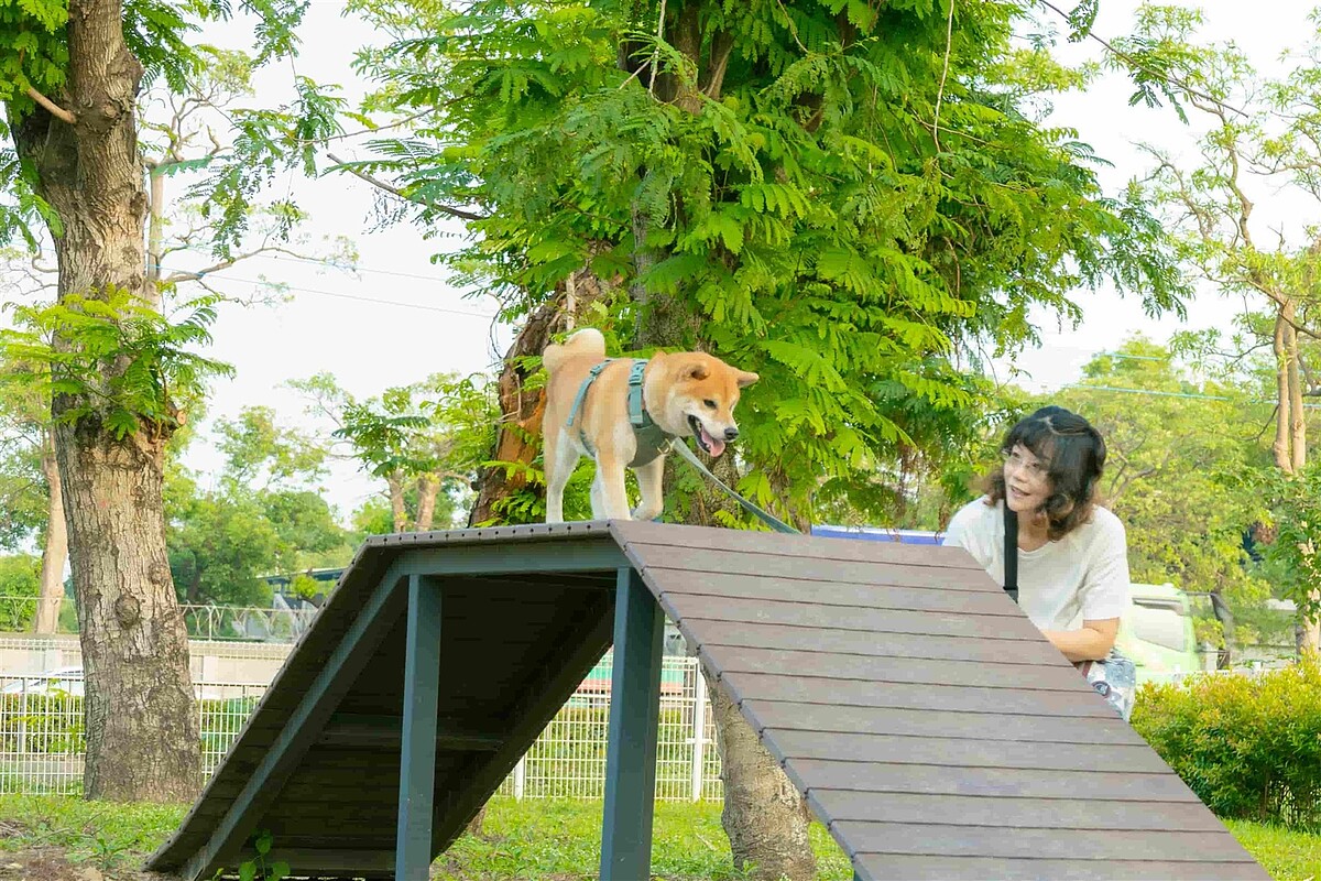 寵物公園內既有喬木林蔭茂密，提供飼主及寶貝寵物舒適通風活動場域。示意圖／高雄市政府提供